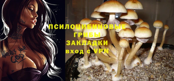 мдпв Баксан
